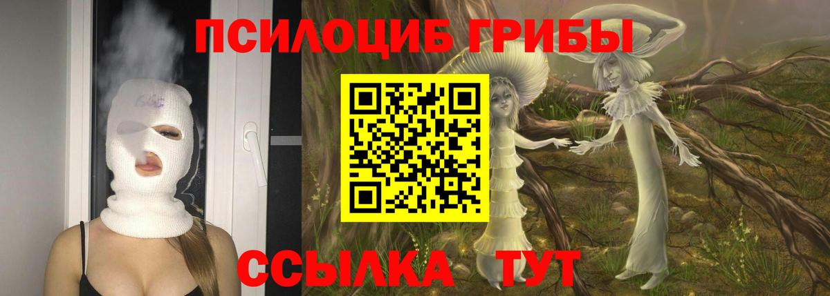 Псилоцибиновые грибы Psilocybe  Вход с VPN  Псилоцибиновые грибы GOLDEN TEACHER  Мариинск 