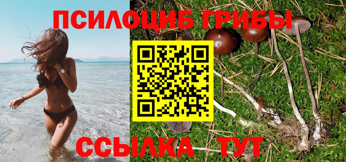 Галлюциногенные грибы MAGIC MUSHROOMS Мариинск